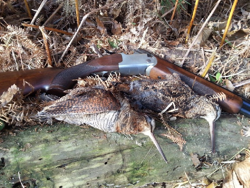 Photos chasse